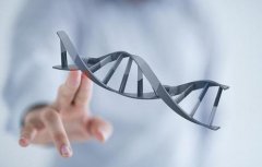 在DNA测试之前，你需要知道3件事