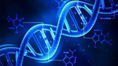 DNA提取过程中各种试剂的作用及原理