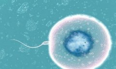 未成熟精子能排出来吗?未成熟精子可以怀孕生孩子吗