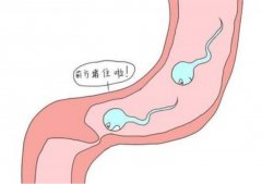 输卵管堵塞临床表现