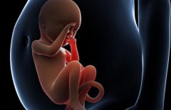 我们：美国试管婴儿历程中影响多胎移植