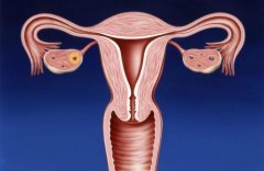 子宫内膜薄可以去日本试管婴儿吗 为什么子宫内膜会变薄