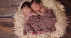 同卵双胞胎怎么样形成的，科学揭秘同卵双胞胎的产生原因