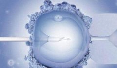 胚胎着床要3-5天!试管婴儿移植后有这5个症状即着床成功