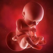 孕期胎儿出现异常怎么办，不要轻易去做流产