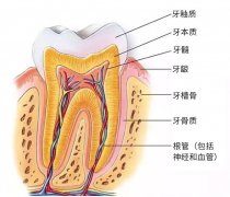 牙齿敏感怎么办？牙齿敏感酸痛怎么治疗？