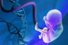 第三代试管婴儿可以排除那些遗传病 弱智基因也能排除吗?