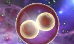 精子和卵子结合时身体有什么症状