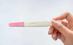 女性处于排卵期的7个表现症状，教你抓住机会迎接好孕