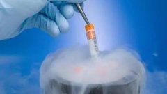 上海助孕试管鲜胚移植和冻胚移植有什么