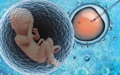 先天性始基子宫无卵巢无月经能生育吗？做试管能好吗？