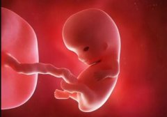 宝宝在羊水中为什么不会呛水 胎儿在子宫里如何呼吸