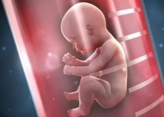输卵管切除了,做试管婴儿会不会再宫外孕呢？