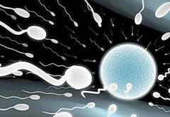第二代试管对精子的要求有哪些？第二代试管的成功率高吗