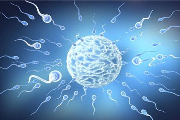 卵巢功能低下与卵巢早衰的区别