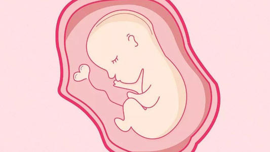 卵巢衰退福州助孕试管婴儿助孕成功率还高吗